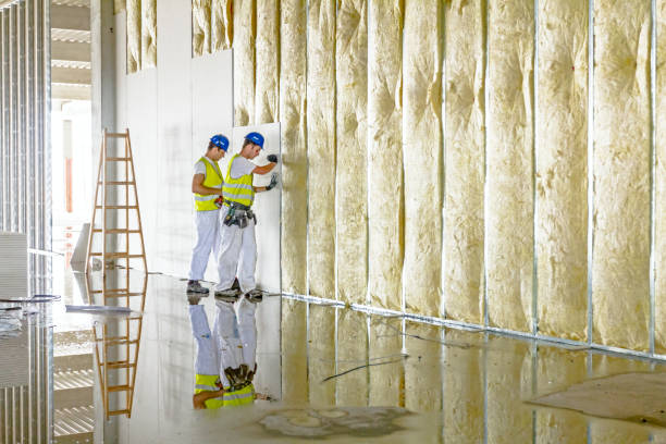 Best Insulation Maintenance and Repair in Dravosburg, PA